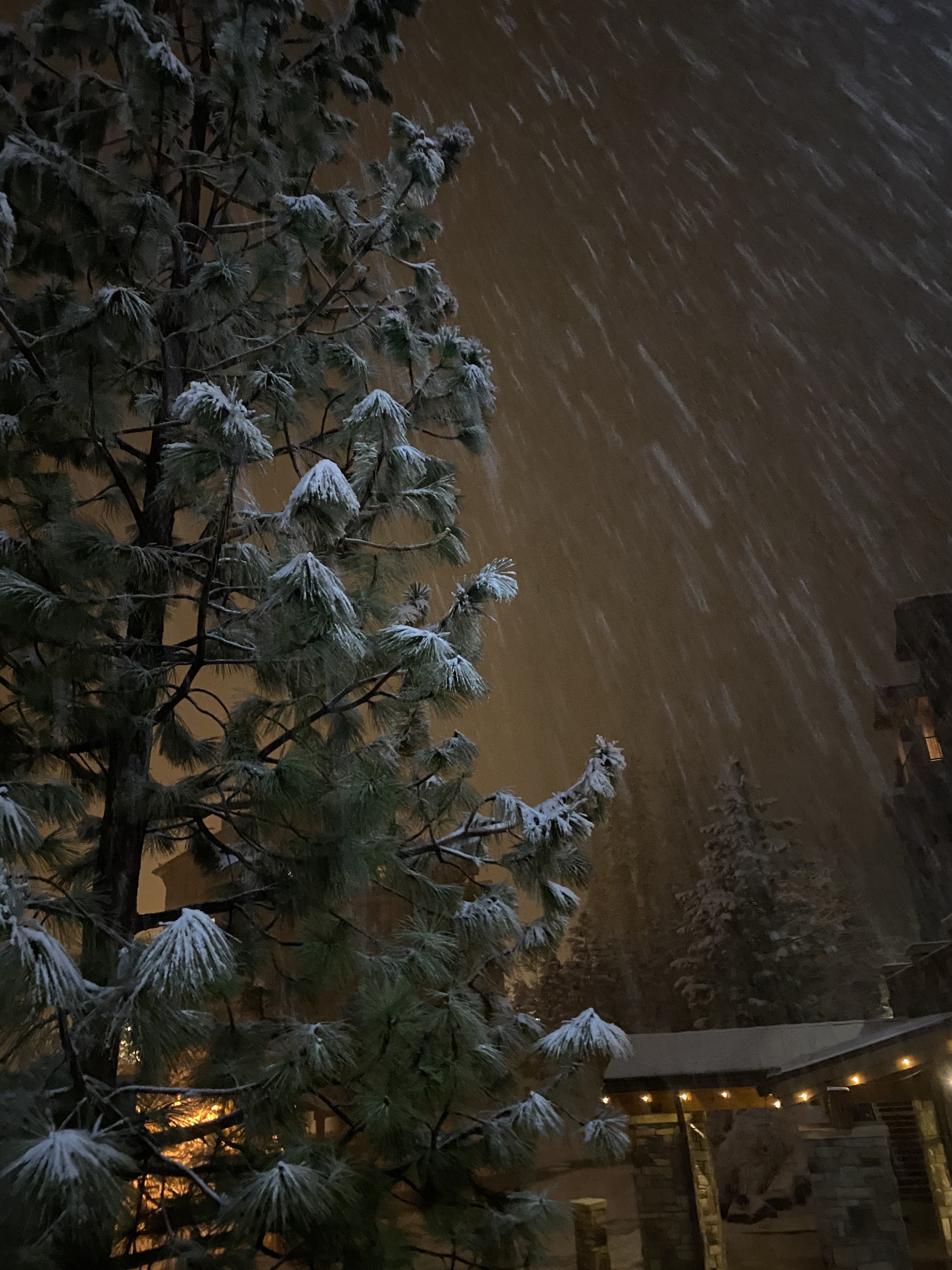 Snowy Night